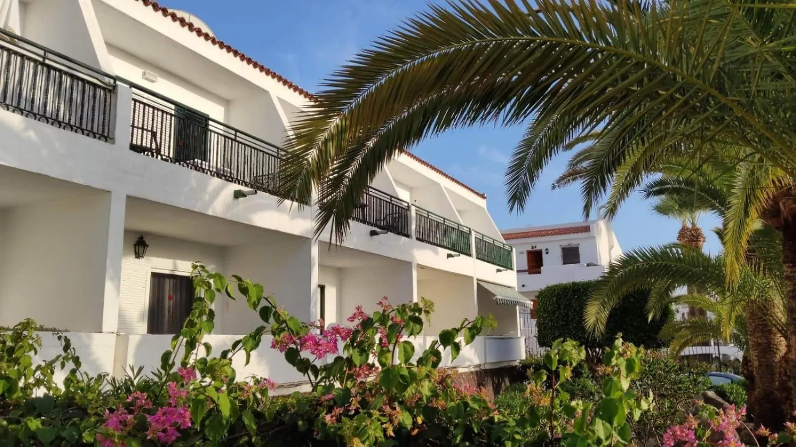 Paraiso Chipeque Los Cristianos Arona  Spain